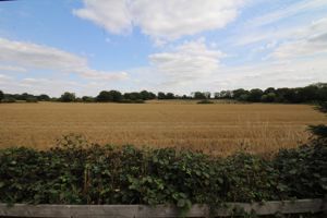 Photo 19- click for photo gallery